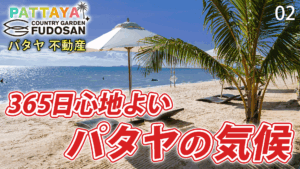 パタヤ　不動産